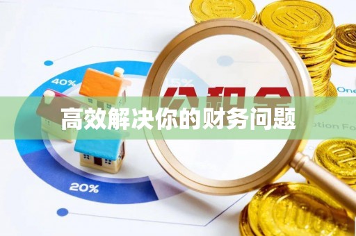 神湾高效解决你的财务问题