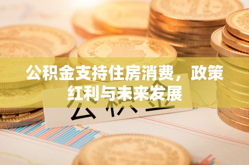 神湾公积金支持住房消费，政策红利与未来发展