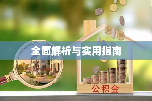 神湾全面解析与实用指南