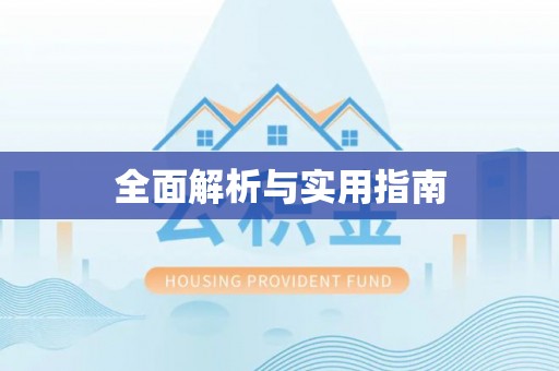 神湾全面解析与实用指南