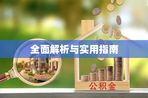 神湾全面解析与实用指南