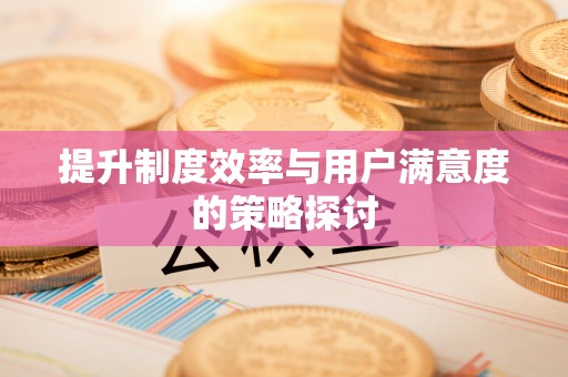 神湾提升制度效率与用户满意度的策略探讨