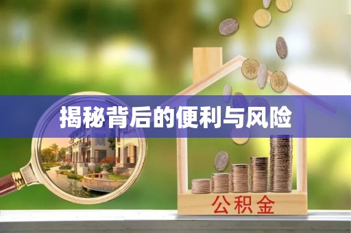 神湾揭秘背后的便利与风险