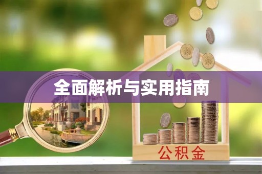 神湾全面解析与实用指南