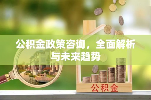 神湾公积金政策咨询，全面解析与未来趋势