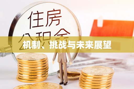 神湾机制、挑战与未来展望